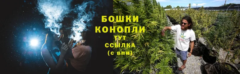 Канабис SATIVA & INDICA  Майкоп 